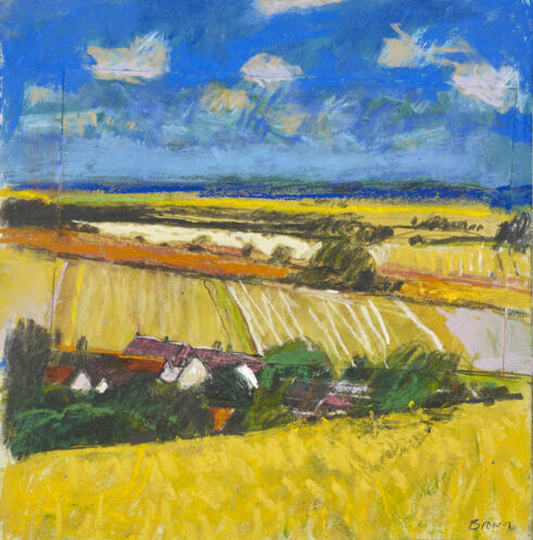 Fields around Branches