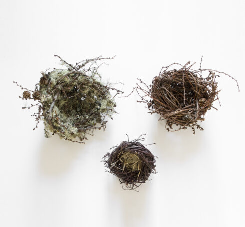 Nests