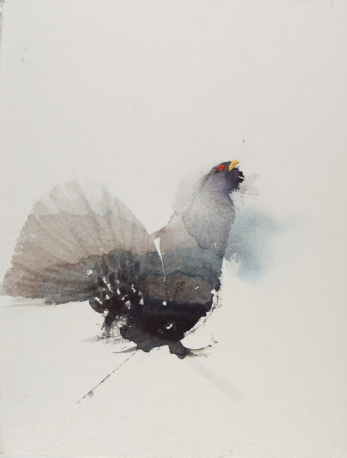 Capercaillie – Lost 1785, reintroduced 1837