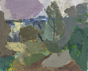 Bellunese Landscape