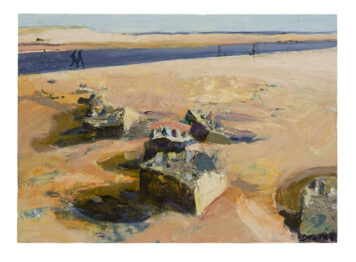 Ythan Estuary (Skin)