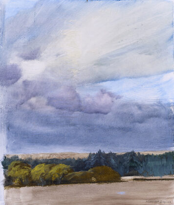 Haughs of Kinnaird, 12.vii.2011
