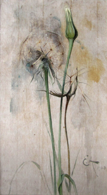 Hemlock no.3