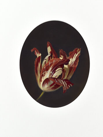 Follower 3 2015-16