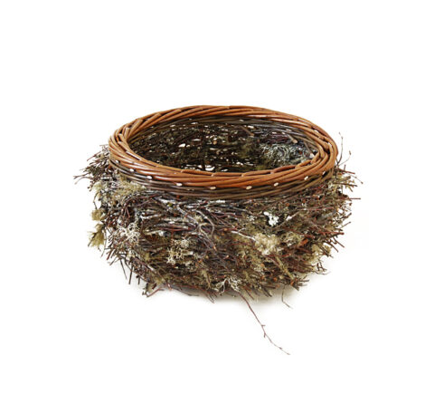 Lichen bowl