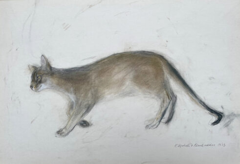 Prowling Cat