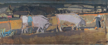 Team of Oxen Ploughing