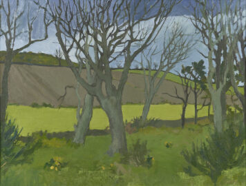 Trees and Ploughed Fields