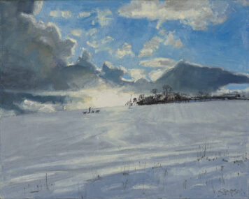 Snow and Dogs Walker