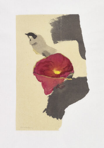 Coal and Camellia