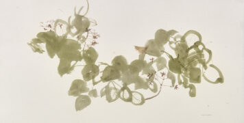 Autumn Hydrangea and Wren