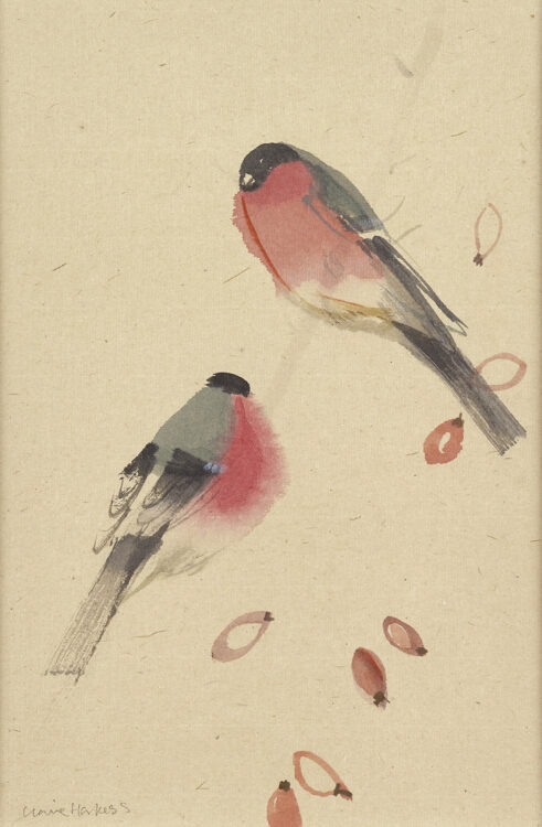 Bullfinch and Rosehips
