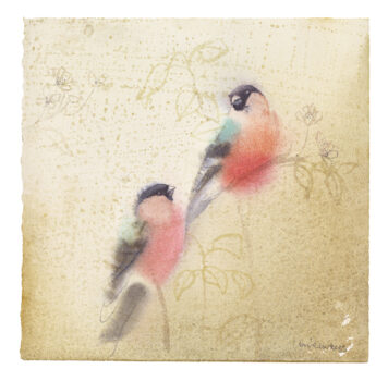Bullfinch II