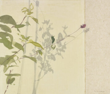 Honeysuckle Shadow, November