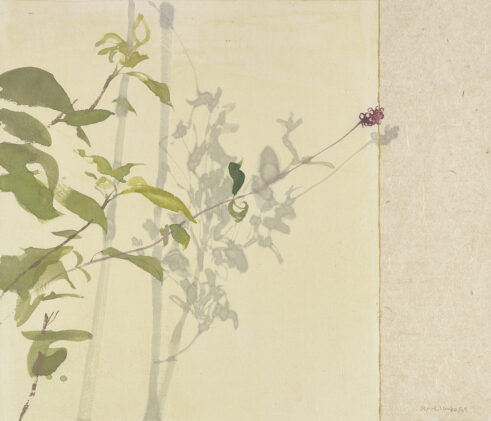 Honeysuckle Shadow, November