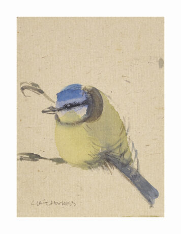 Garden Flock: Blue