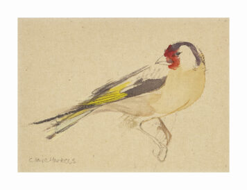 Garden Flock: Goldfinch I