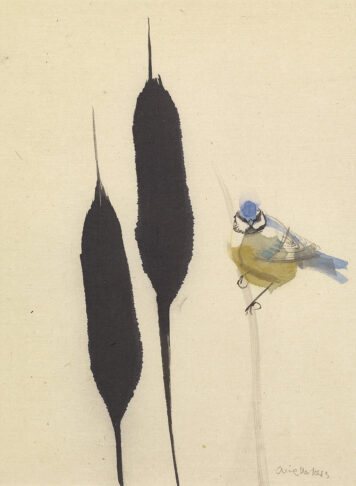 Sway, Blue Tit in Reedbed III