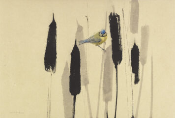 Bullrush Blues II