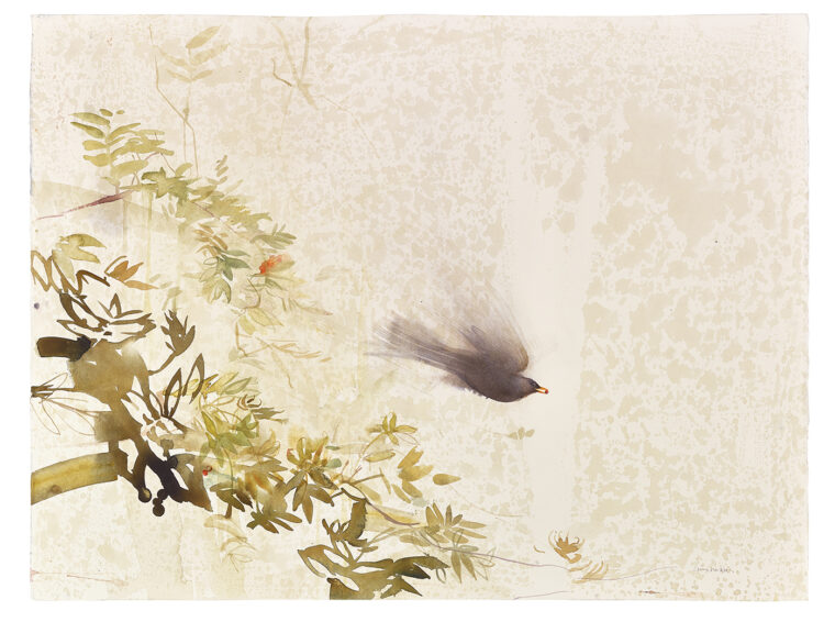 Last of the Rowan Berries