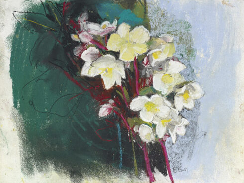 Hellebores