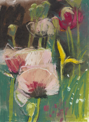 Patty’s Plum Poppies