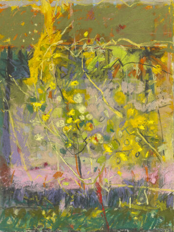 Nasturtiums