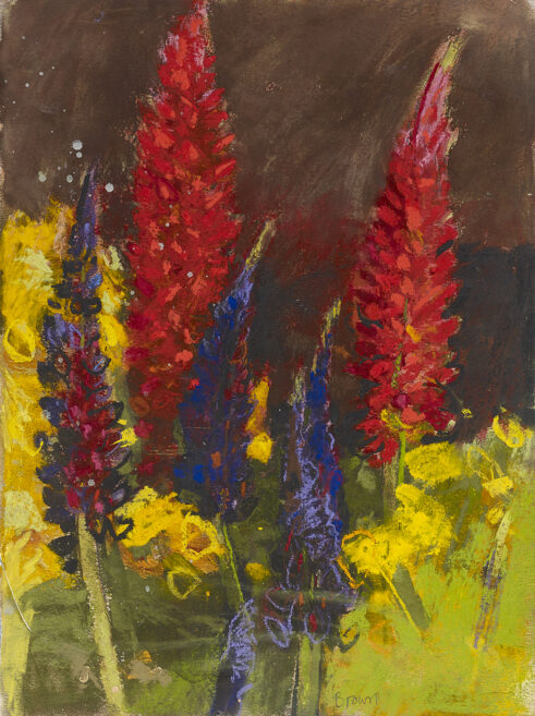 Geums and Lupins