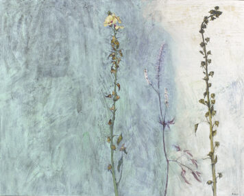 Seed Pods