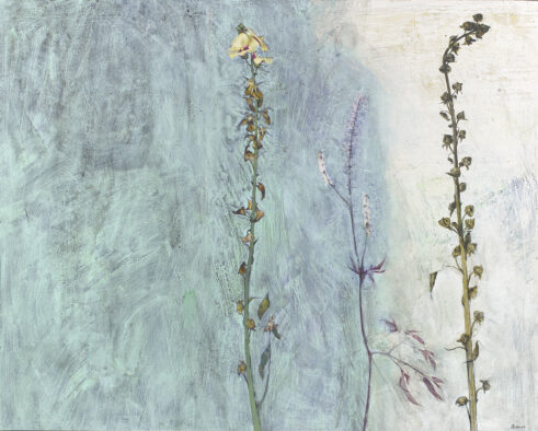 Seed Pods