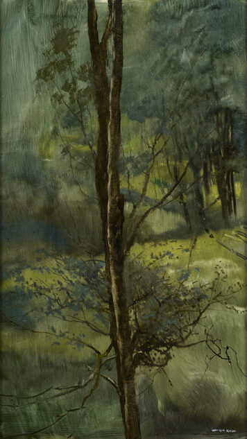 Birch Tree, Montreathmont Forest, 12.X.2011