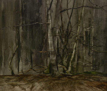 Glenesk Wood, 6.I.1997