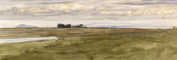 Aberlady Bay, East Lothian, 8.IX.1989