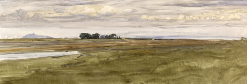 Aberlady Bay, East Lothian, 8.IX.1989