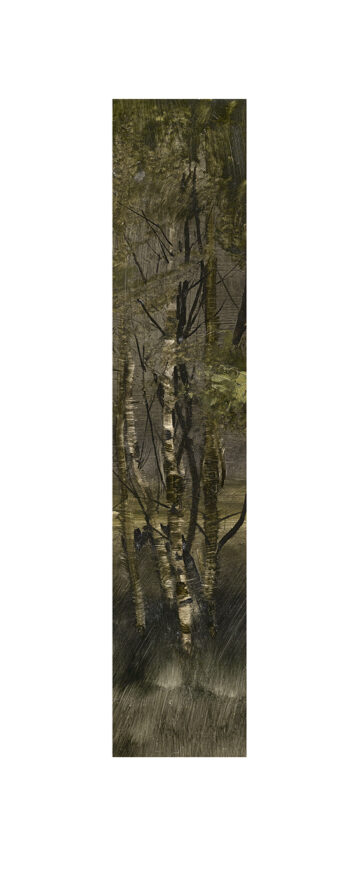 Birchwood Study III