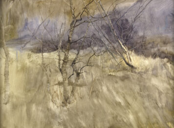 Birch Tree, Glenesk, 12.XI.1981