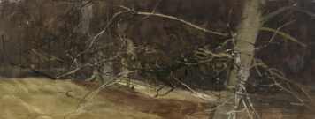 Beech Trees, Montreathmont, 8.III.1981