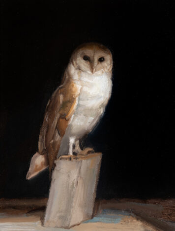 Owl on Perch