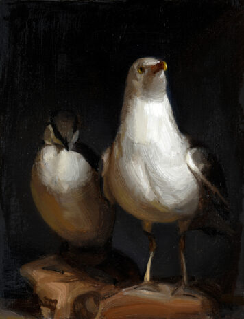 Feathered Friends