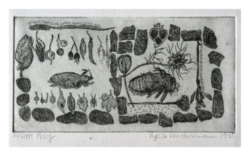 Beetles with Found Objects