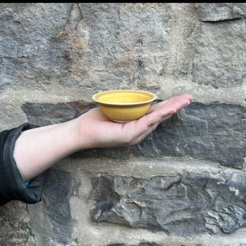 Miniature Bowl – Medium