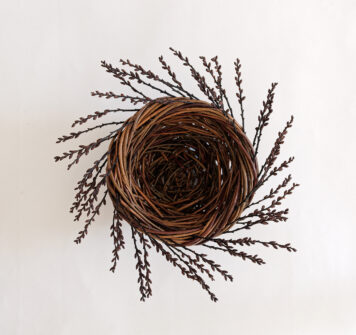 Bog Myrtle Nest