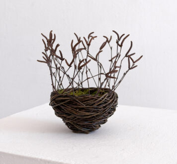 Birch Nest with Moss