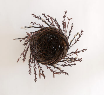 Nest Form I