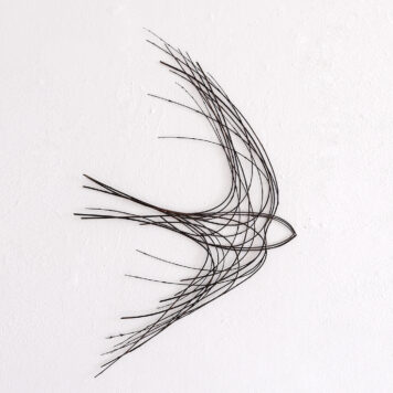Little Swallow