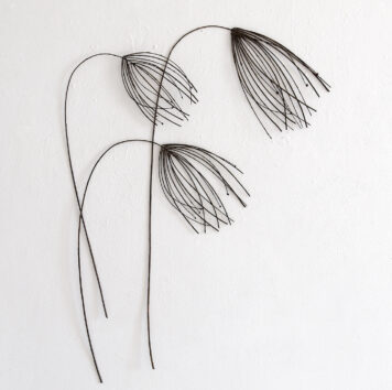 Seedheads