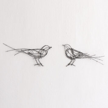 Wagtails