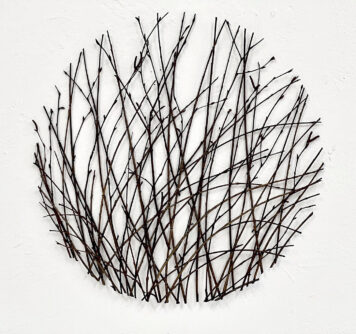 Study in Willow and Birch