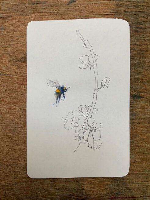 Bees for Ukraine III by Claire Harkess
