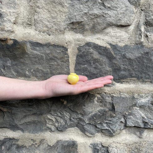 Miniature Pot – Small